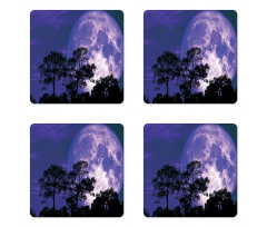 Trees on a Field at Night Coaster Set Of Four