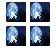 Moon Beaming in the Woods Coaster Set Of Four