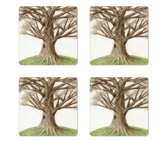 Sketch Nature Coaster Set Of Four