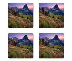 Wild Floral Alpine Coaster Set Of Four