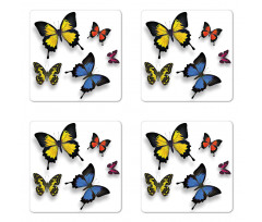 Nature Moths Wings Coaster Set Of Four