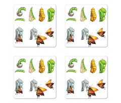 Cocoon Nature Cycle Coaster Set Of Four