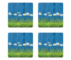 Spring Grass and Daisy Coaster Set Of Four