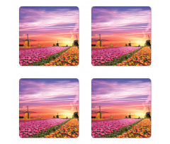 Scenic Tulip Fields Coaster Set Of Four