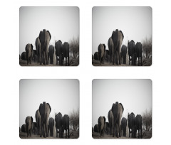 Tropic Wildlife Safari Coaster Set Of Four