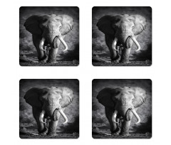 Exotic Wildlife Elephant Coaster Set Of Four