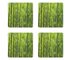 Exotic Tropical Bamboo Coaster Set Of Four