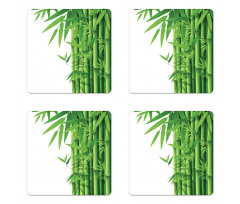 Modern Bamboos Stems Coaster Set Of Four