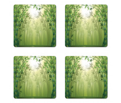 Bamboo Trees in Forest Coaster Set Of Four