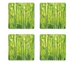 Bamboo Sprout Stem Forest Coaster Set Of Four