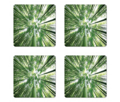 Tropic Rain Forest Bamboo Coaster Set Of Four