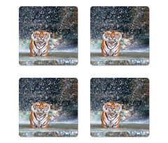 Exotic Wildlife Nature Coaster Set Of Four