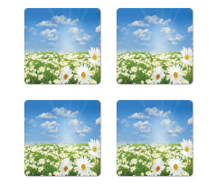 Daisy Spring Meadow Coaster Set Of Four