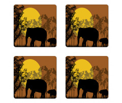 Animals and Trees Coaster Set Of Four