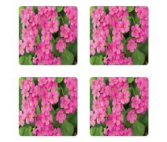 Pinkish Flower and Leaves Coaster Set Of Four