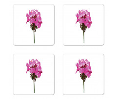 Close Up Photo of Flowers Coaster Set Of Four