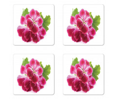 Single Flower Close Up Coaster Set Of Four