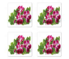 Real Photo of Flowers Coaster Set Of Four