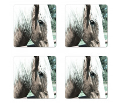 Draft Horse from Netherlands Coaster Set Of Four