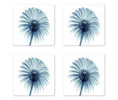 Daisies Flowers Plants Coaster Set Of Four