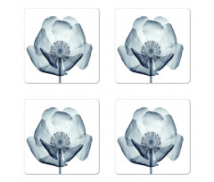 Complex Nature Theme Coaster Set Of Four