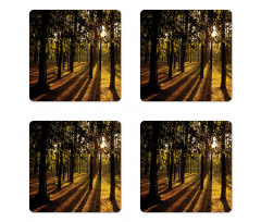 Summertime Forest Tree Coaster Set Of Four