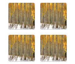 Aspen Tree Woods Scenery Coaster Set Of Four