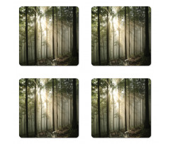 Wild Forest Woodland Coaster Set Of Four