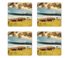 Elephant Family Photo Coaster Set Of Four