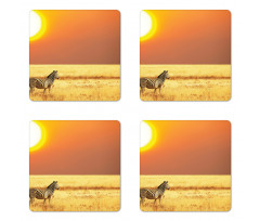 Tropical Animal Sunset Coaster Set Of Four