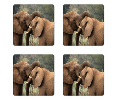 Safari Animals Savanna Coaster Set Of Four