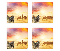 South Wild Zebra Coaster Set Of Four