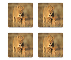 Safari Lions Wilderness Coaster Set Of Four