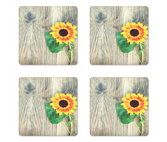 Wood Board Bouquet Coaster Set Of Four