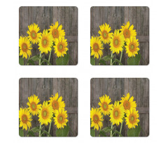 Helianthus Sunflowers Coaster Set Of Four