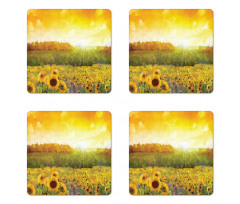 Golden Sunflower Field Coaster Set Of Four