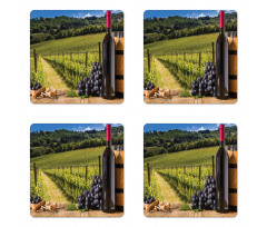 Vineyard Tuscany Grape Coaster Set Of Four