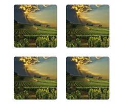 France Sunset Vineyard Coaster Set Of Four