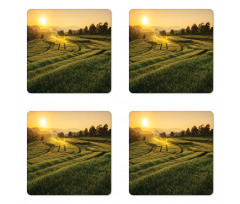 Barley Woods Sunset Coaster Set Of Four