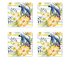 Tropic Exotic Parrots Coaster Set Of Four