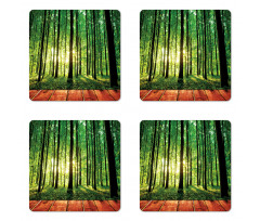 Sunlight Forest Trees Coaster Set Of Four