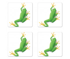 Tropic Frog in Nature Coaster Set Of Four