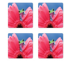 Frog on Gabera Flower Coaster Set Of Four