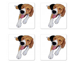 Smiling Resting Dog Sketch Coaster Set Of Four