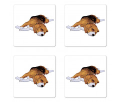 Before Falling Asleep Dog Coaster Set Of Four