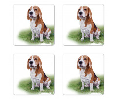 Focused in Mind Dog Sketch Coaster Set Of Four