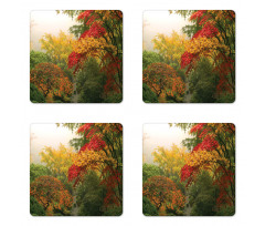 Portland Japan Garden Coaster Set Of Four