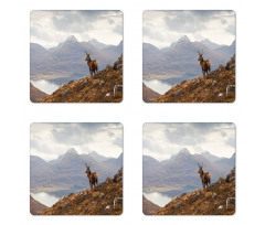 Western Ross Mountain View Coaster Set Of Four