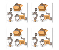 Kitten Cat in the Box Coaster Set Of Four