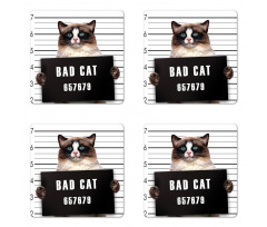 Jail Kitty Under Arrest Coaster Set Of Four